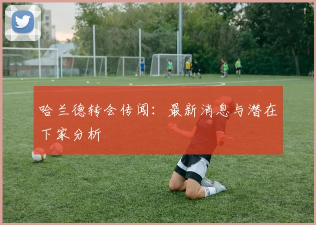 哈兰德转会传闻：最新消息与潜在下家分析