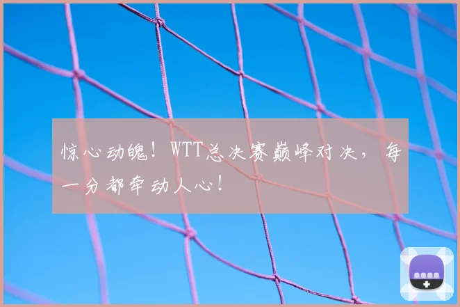 惊心动魄！WTT总决赛巅峰对决，每一分都牵动人心！