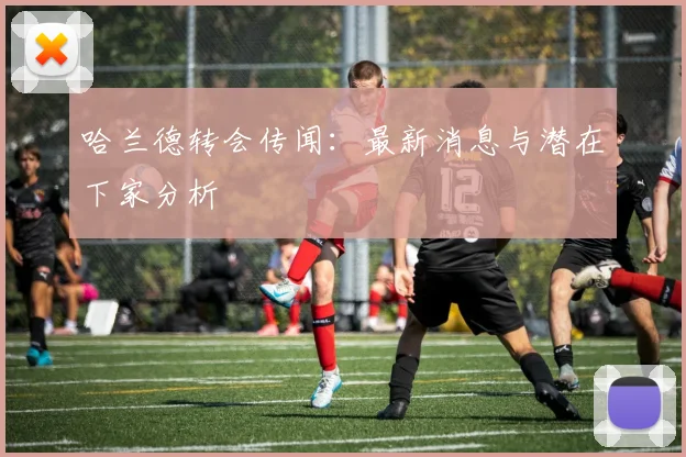 哈兰德转会传闻:最新消息与潜在下家分析